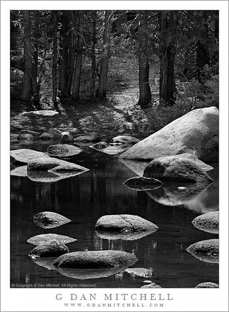 TiogaTarnRocksForest20090607