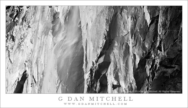 HorseTailAfternoonBreezeBW20140301