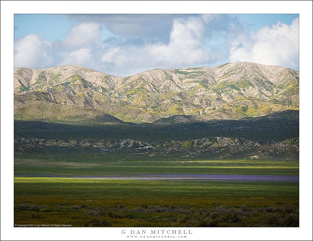 Shadows on the Plain