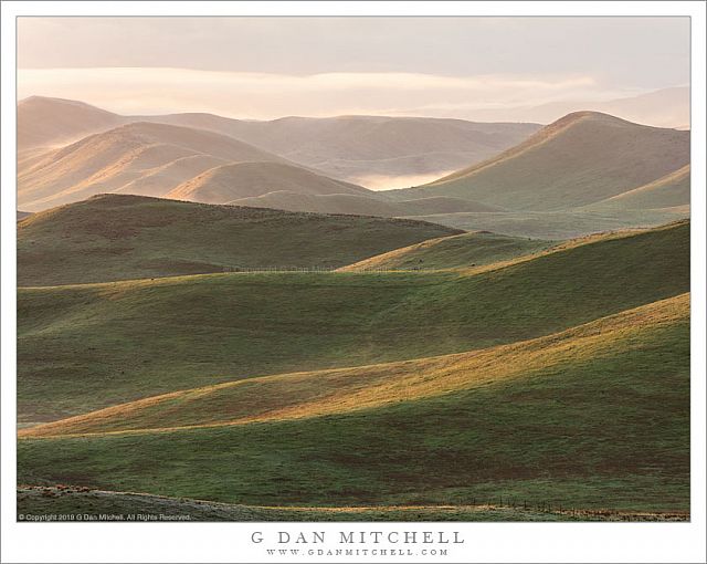 Green HIlls, Morning Mist