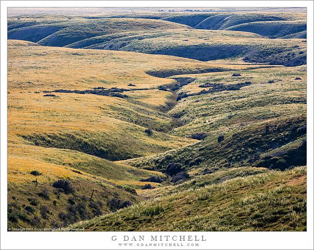 Hills, Edge of the Carrizo Plain