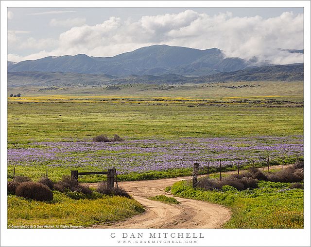 Road And Fence, Carrizo Plain