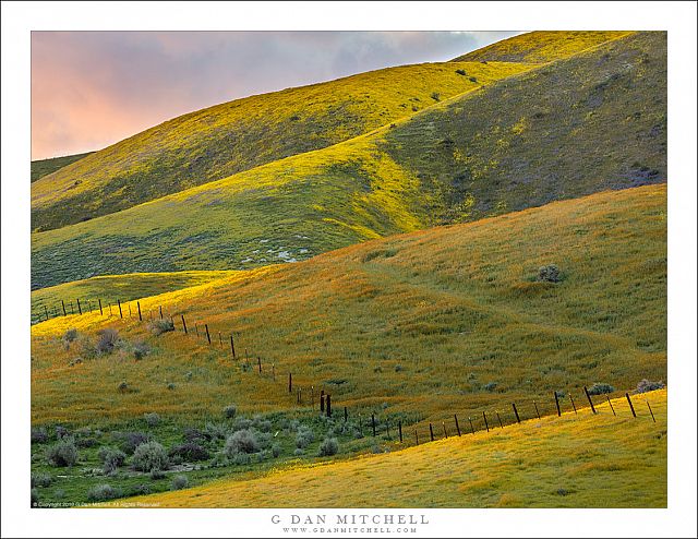 Temblor Range HIlls, Spring Evening