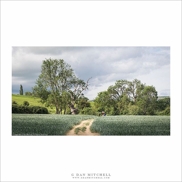 A Cotswolds Trail