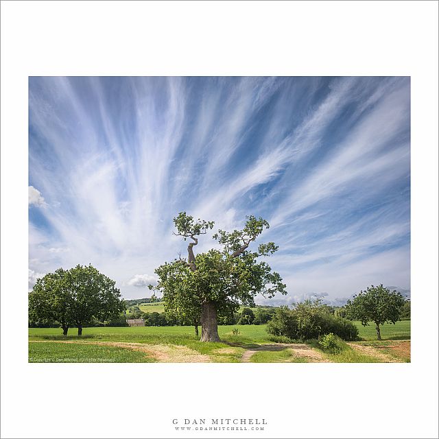 Cotswolds Sky