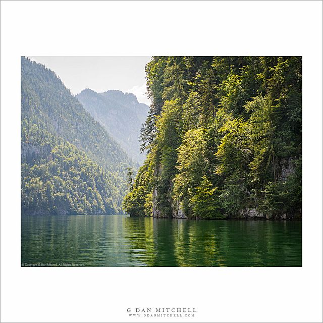 Forested Cliffs, Königsee