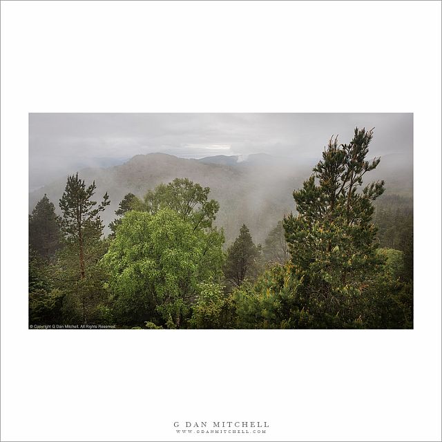 Forest and Fog, Great Glen Way