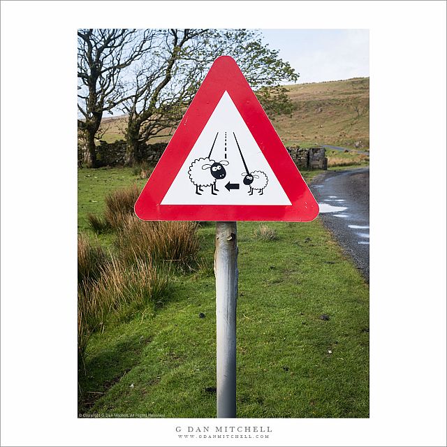 So That Sheep May Safely Graze