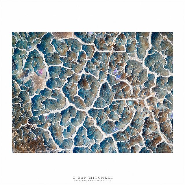 Imaginary Landscape — Fractal Veins