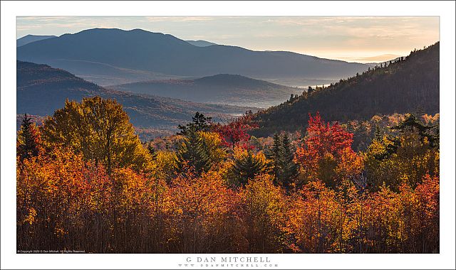 Autumn Trees, Mountains, and Valley Fog.