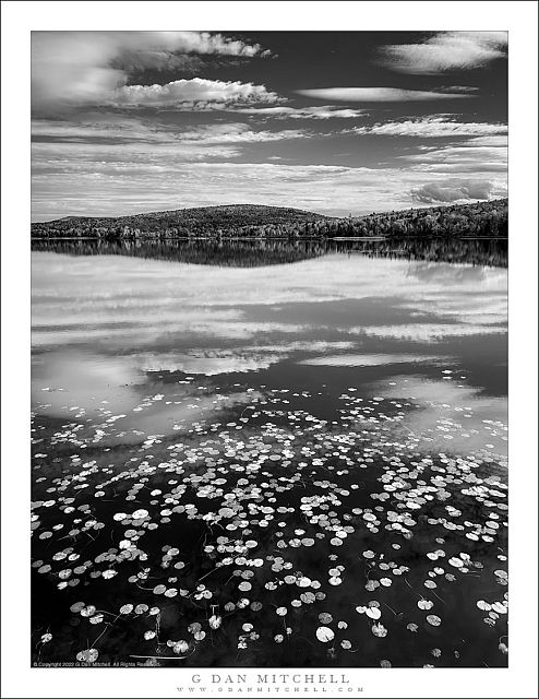 Lake, Clouds, Floating Leaves