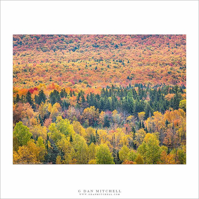 Peak New England Color