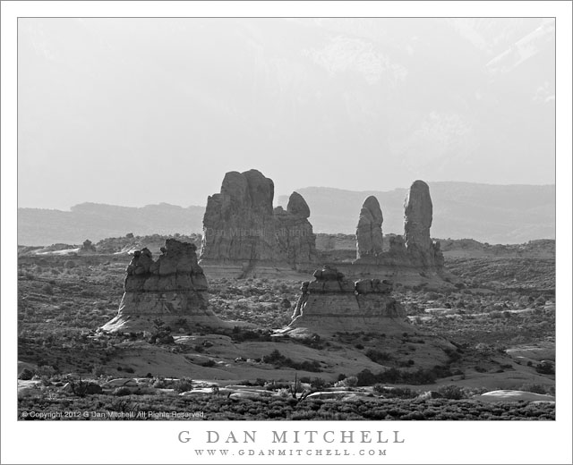 RockGardenMorningBW20120407