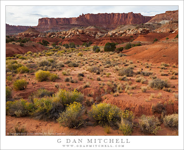 DesertWashCapitolReef20121008