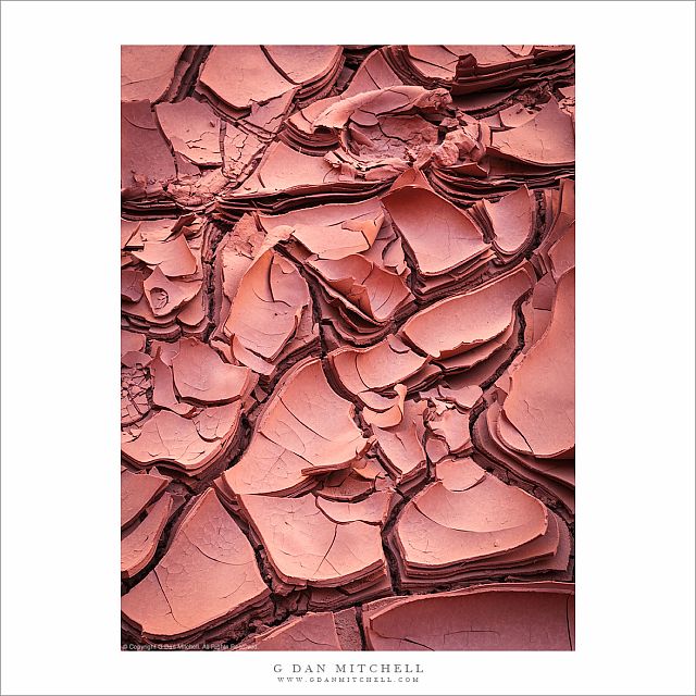 Mud Patterns
