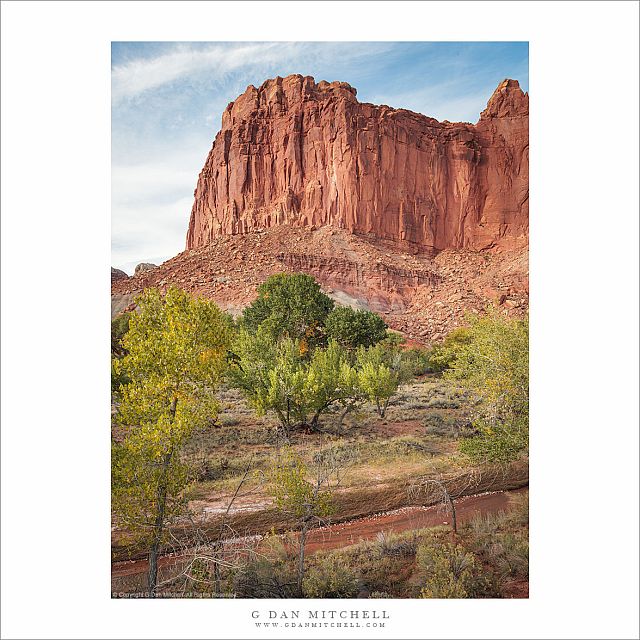 Autumn Foliage and Red Rock Cliffs