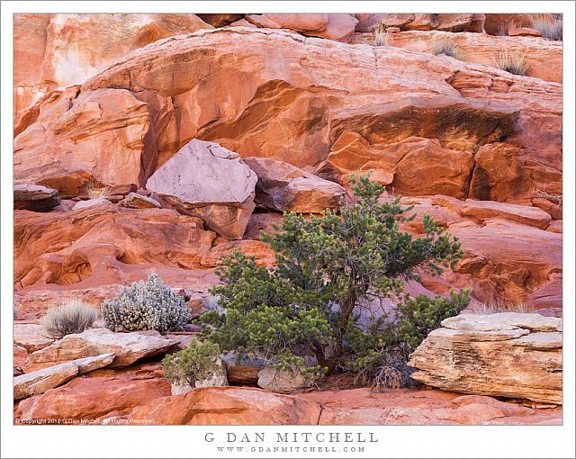 Juniper, Sage, and Red Rock