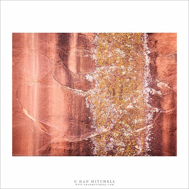 Stained Sandstone, Lichen