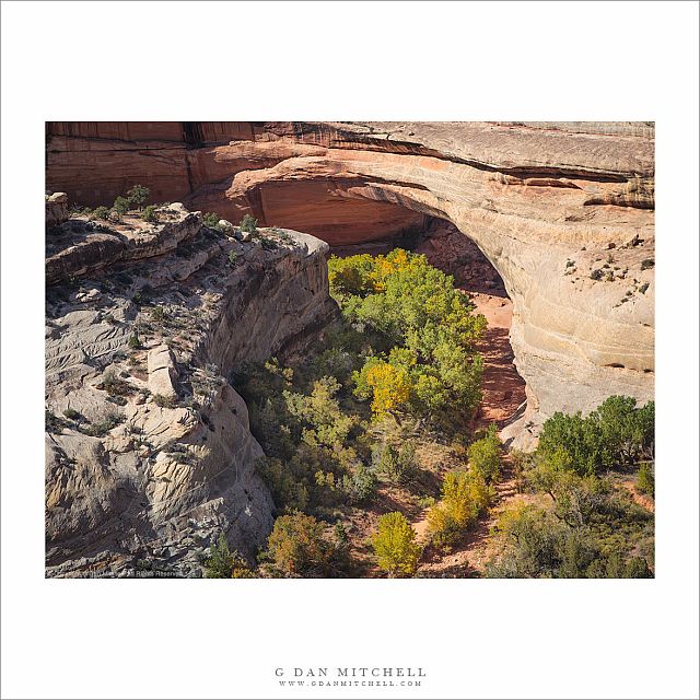 A Red Rock Canyon