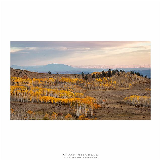 Boulder Mountain Aspens, Evening