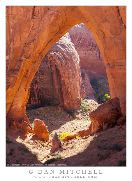 Arch and Canyon