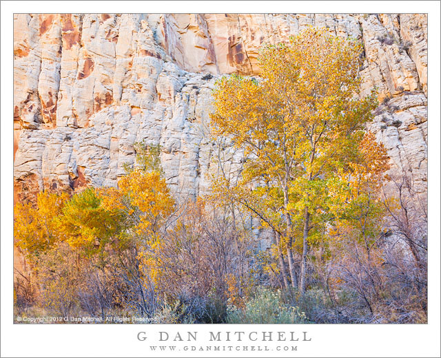 AutumnColorEscalanteRiver20121029
