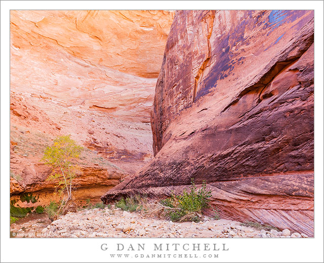 Bend in the Canyon