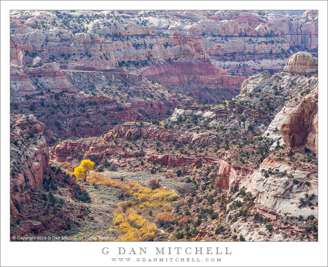 Calf Creek Canyon