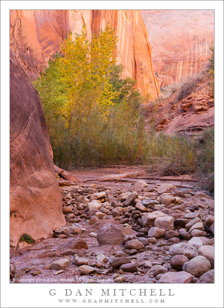 Canyon and Stream