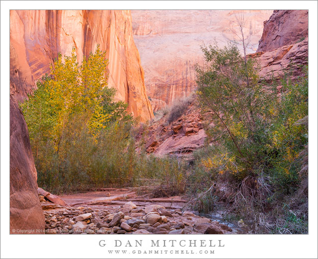 Creek, Bend in the Canyon