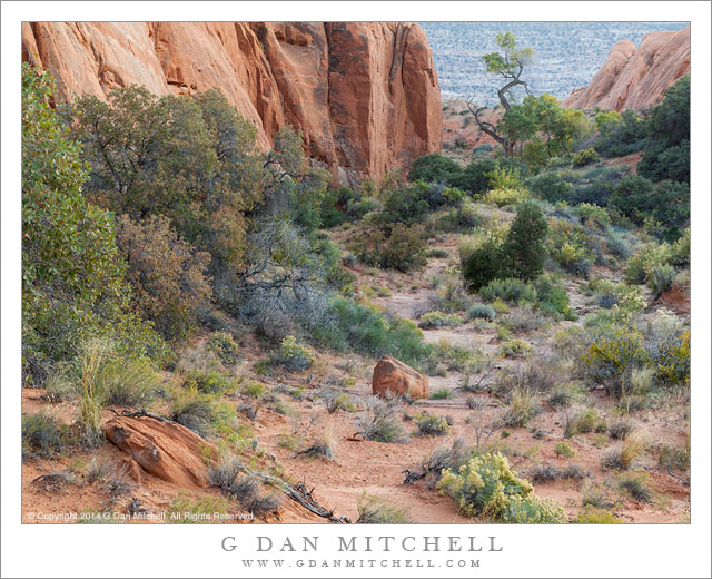 Canyon Country Gulch, Evening