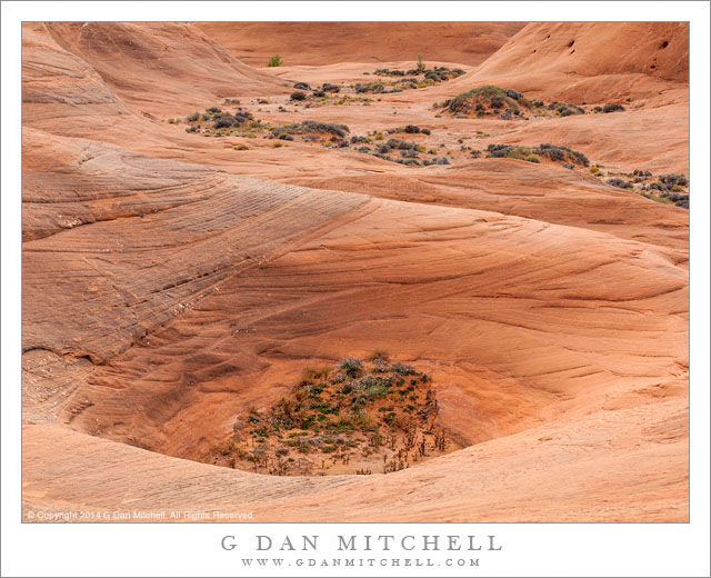 Pothole and Sandstone Valley