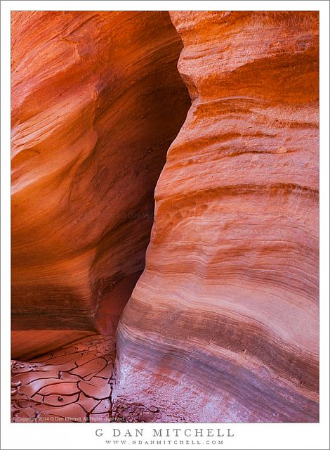 Sandstone and Canyon Mud