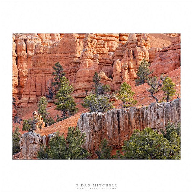 Trees and Cliffs, Red Rock Canyon