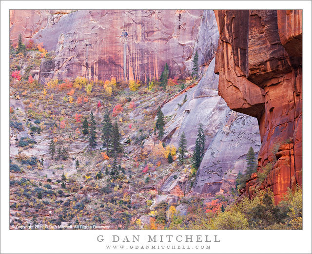 AutumnColorCanyonWallsZion20121030