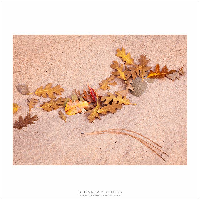 Autumn Leaves, Sand