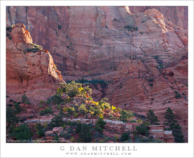 FirstLightRedRockCliffsKolobCanyons20121014