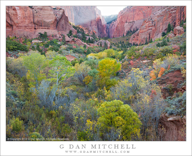 KolobCanyonMorningFallFoliageCliffs20121014