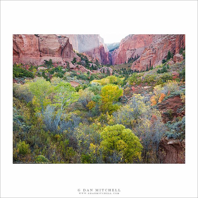 Kolob Canyon, Morning
