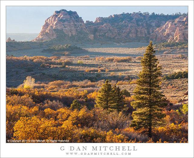 Highlands, Autumnn Light