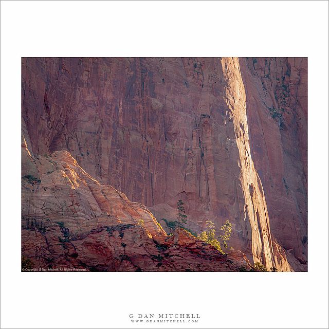 Red Cliffs and Trees