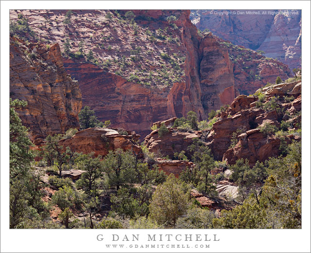 SandstoneCliffsWindingCanyonForest20120403