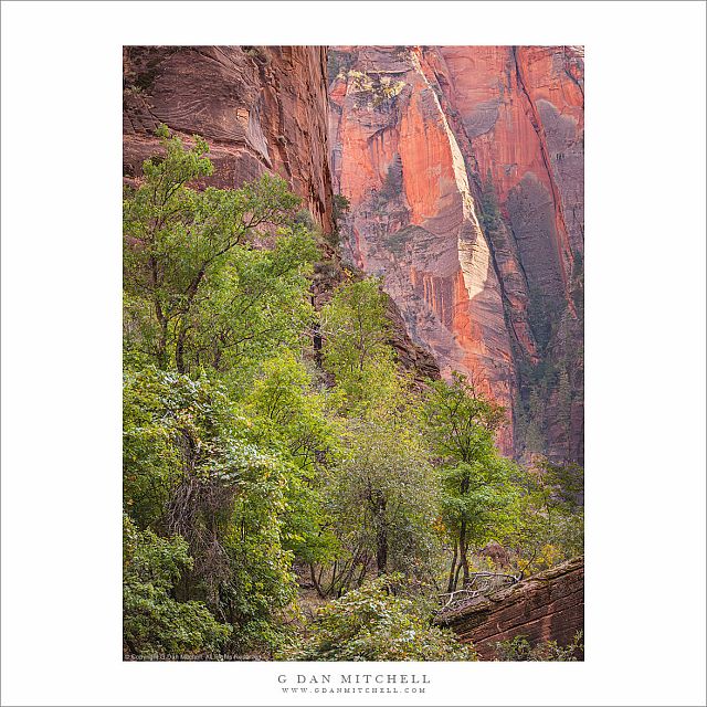 Trees and Sandstone Cliffs