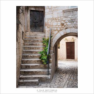 Arch, Stairs, and Plants