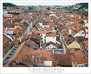 RoofsOfHeidelbert20130712