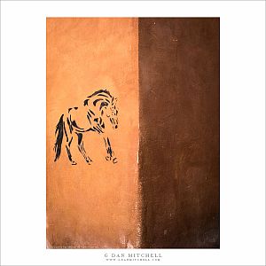 Horse Stencil, Walls