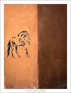 Horse Stencil, Walls