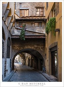 Via dei Girolami