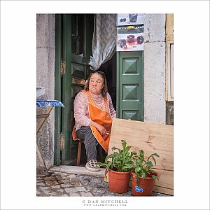 Gingihha Vendor