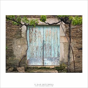 Vines and Bue Door